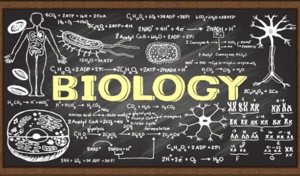 biologie