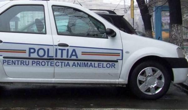 politia-animaleor