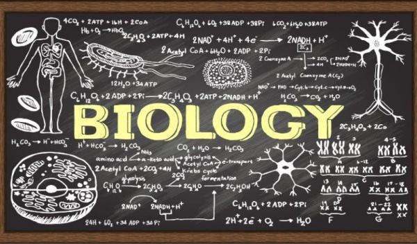 biologie