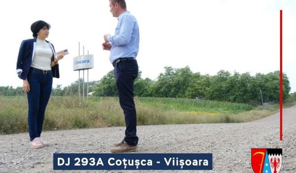 DJ 293A, Cotusca - Viisoara