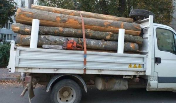 camioneta-cu-lemne