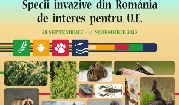 Specii invazive din Romania de interes pentru UE