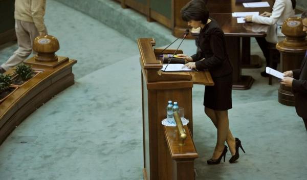 Doina Elena Federovici in Parlamentul Romaniei_2