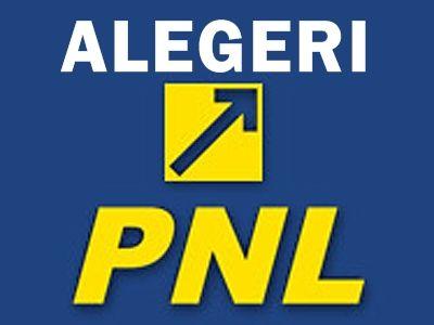 Alegeri_pnl