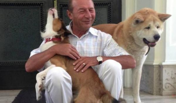 Președintele Traian Băsescu a promulgat, miercuri, legea privind eutanasierea câinilor fără stăpân