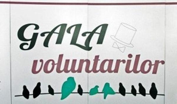 gala-nationala-a-voluntarilor1