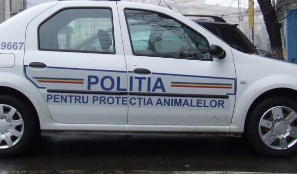 Poliţia animalelor, înfiinţată în cadrul ANSVSA, cu câte un inspector în fiecare judeţ