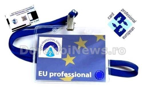 Cardul Profesional European 2_Dorohoi News