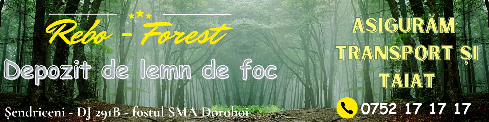 DorohoiNews.ro