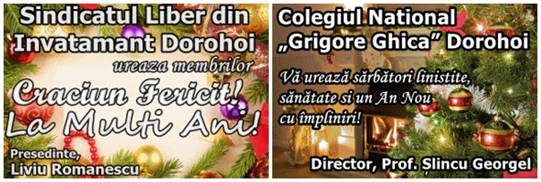 Sărbători de iarnă