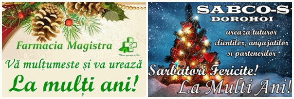 Sărbători de iarnă