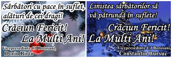 Sărbători de iarnă